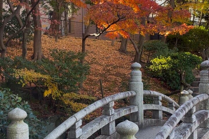 Tokyo: Know about Hokusai and Sumo culture in 2.5 hours — photo 6