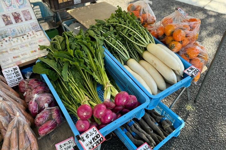Customizable Takayama Private Walking Tour — photo 12