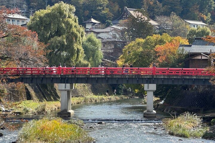 Customizable Takayama Private Walking Tour — photo 9