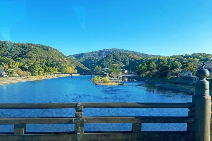Kyoto & Nara & Uji: Full Day Sightseeing Tour from Osaka or Kyoto — photo 20