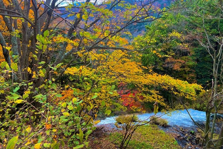 Two Days Nikko Cycling Tour guided by a Local Monk — photo 10