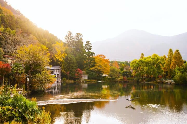 Dazaifu Bungo Mori Roundhouse Beppu Yufuin Private Tour — photo 9