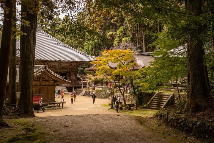 Himeji in Shoshazan Engyo ji Photography Tour Experience — photo 15