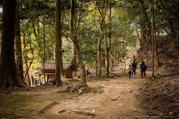 Himeji in Shoshazan Engyo ji Photography Tour Experience — photo 17