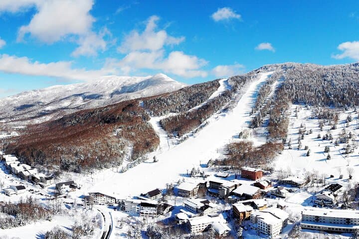1 Day Ski Tour Package Easy Departure from Nagano Station — photo 3