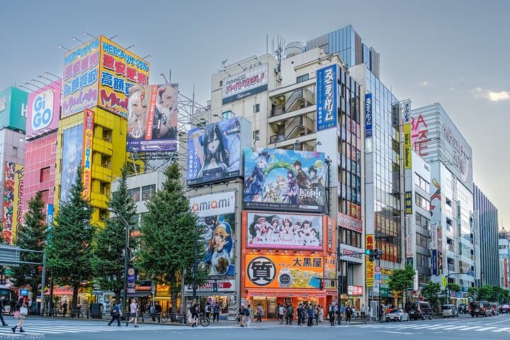 3 to 5 Hours Private Customizable Tour in Tokyo with Local Guide — photo 7