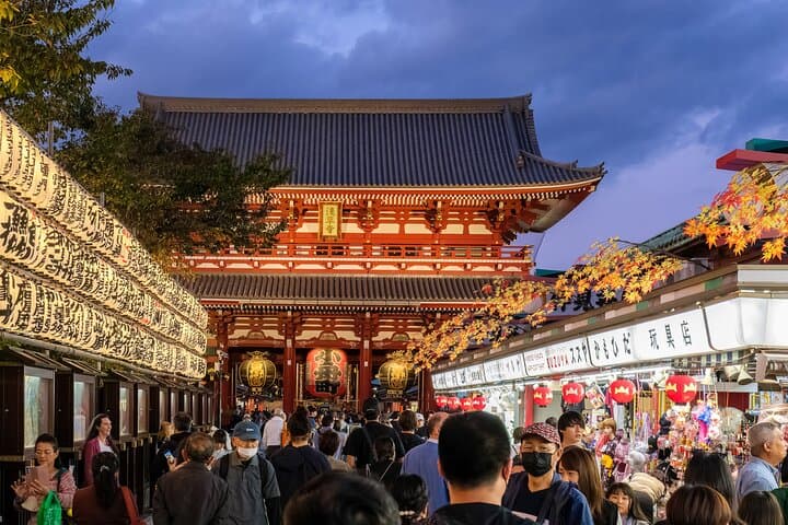 3 to 5 Hours Private Customizable Tour in Tokyo with Local Guide — photo 13