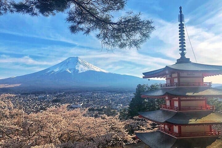 From Tokyo Private Trip to Mount Fuji and Lake Kawaguchi — photo 2