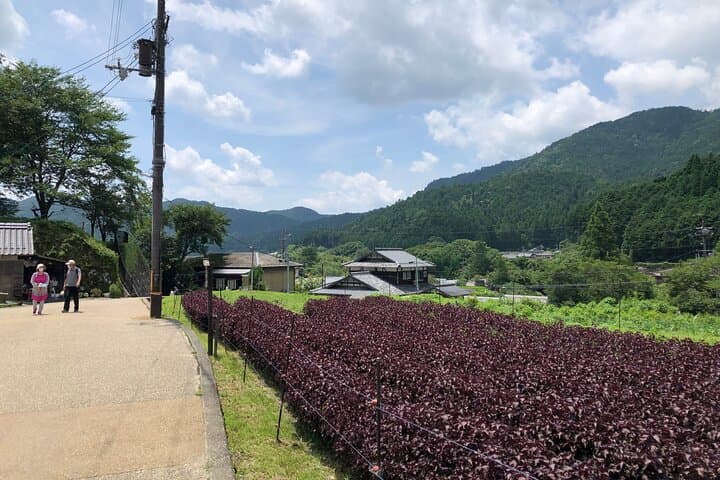 Rural Kyoto One Day Tour of a Tranquil Landscape in Ohara — photo 3