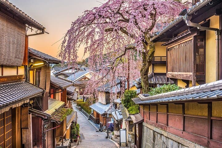 Kyoto & Uji: Full Day Sightseeing Tour from Osaka or Kyoto — photo 17