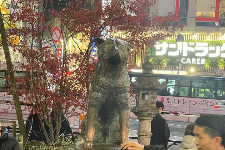3 Day All Inclusive Japan Private Tour — photo 10