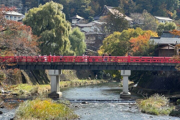 Takayama Jinya & Old Town Private Walking Tour — photo 15
