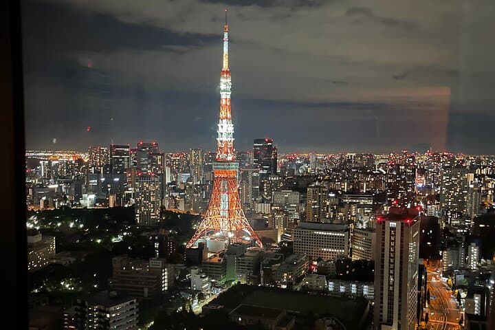 Narita Airport(NRT) Transfers: One-Way to Central Tokyo — photo 10