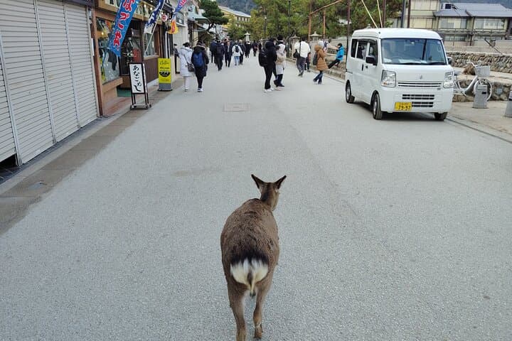Itsukushima Shrine Tour with Local Guide — photo 7