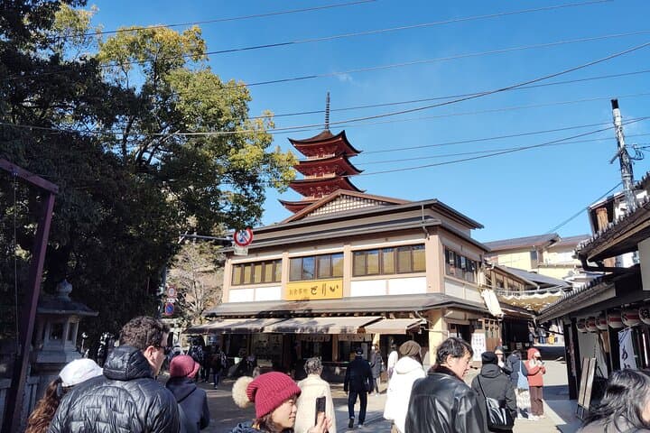 Itsukushima Shrine & Miyajima Summit 5.5 hour Tour in Miyajima — photo 17