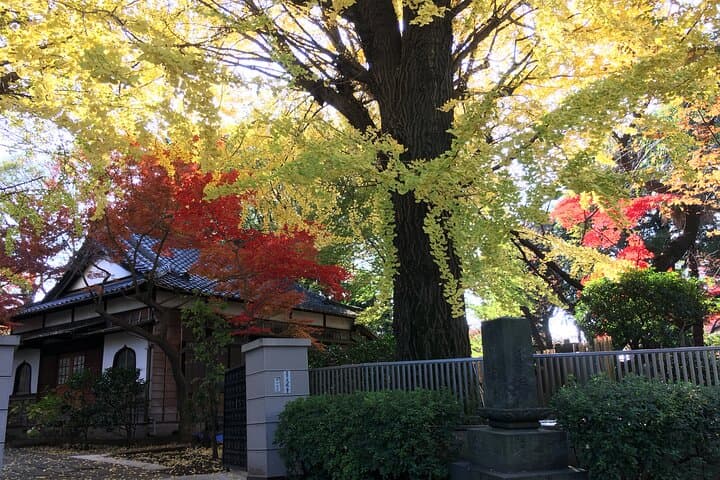 KANJI ART Workshop & super local walking Tour in Tokyo — photo 12