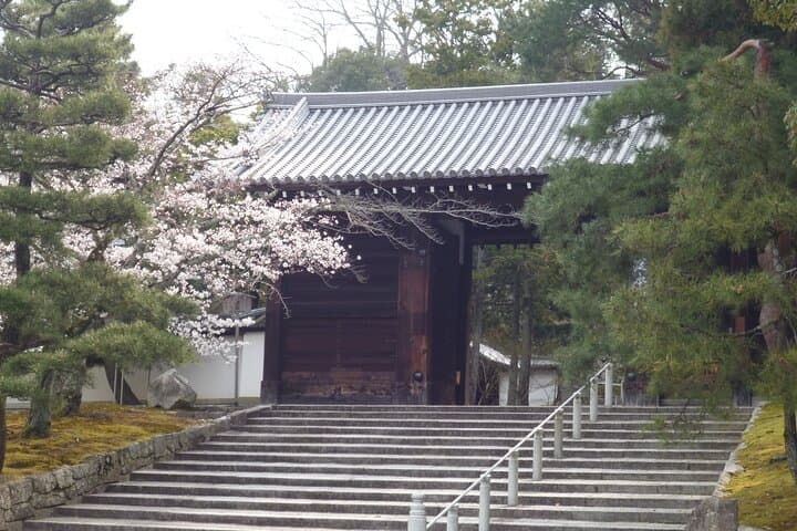 Kyoto Panorama Hike From Maruyama Park to Shogunzuka — photo 10