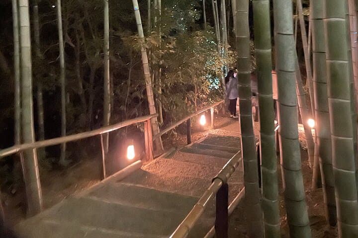 Discover Kyoto at Night by Bike — photo 6