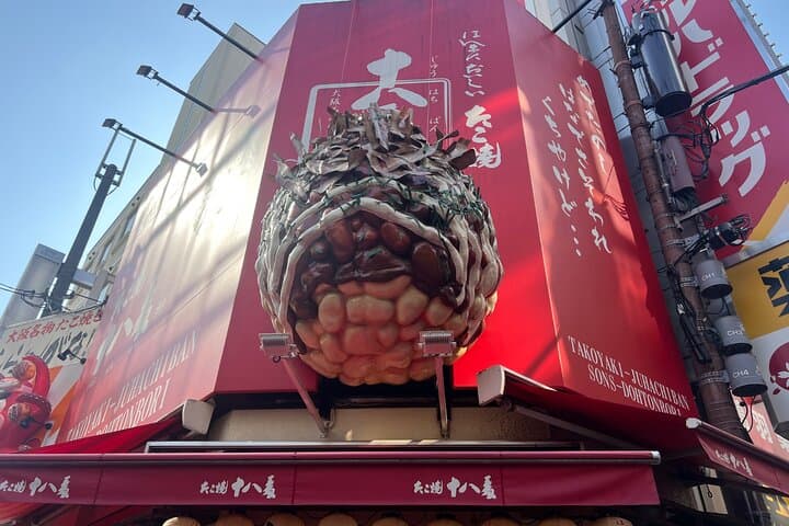 Day Trip Osaka from Tokyo with a Guide by Bullet Train — photo 8