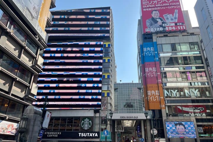 Day Trip Osaka from Tokyo with a Guide by Bullet Train — photo 9