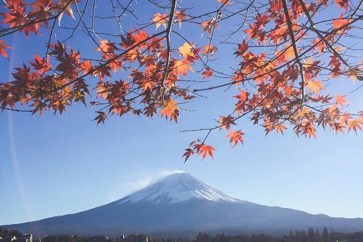 Mount Fuji Private Tour With English Speaking Driver — photo 3