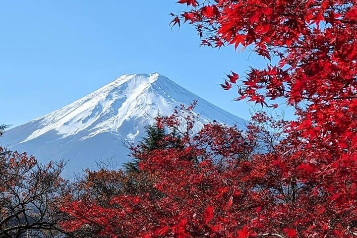 Mount Fuji Private Tour With English Speaking Driver — photo 12