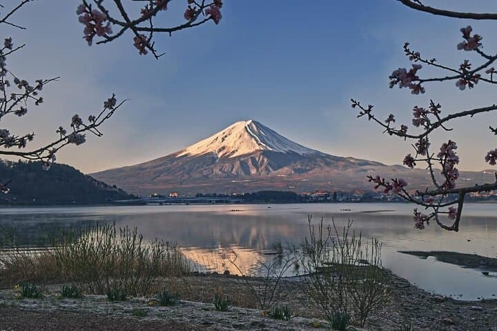 Mount Fuji Private Tour With English Speaking Driver — photo 14