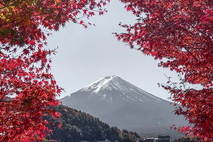 Mount Fuji Private Tour With English Speaking Driver — photo 15