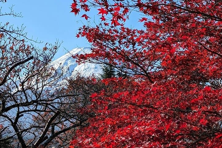 Mount Fuji Private Tour With English Speaking Driver — photo 17