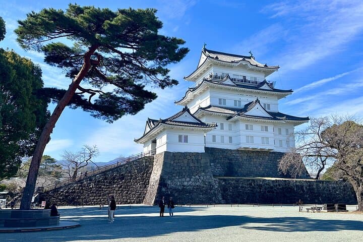 Tokyo: Mt Fuji & Hakone 2-Day Private Tour with Onsen Ryokan Stay — photo 3