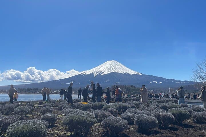Tokyo: Mt Fuji & Hakone 2-Day Private Tour with Onsen Ryokan Stay — photo 11