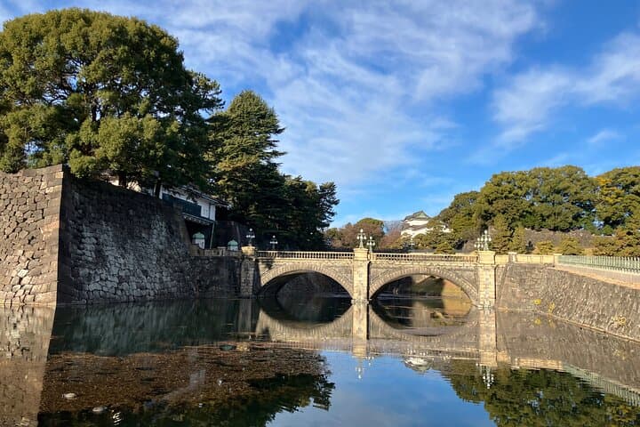 Tokyo Food Adventure: Street food, Teppanyaki cuisine, shrine etc — photo 7