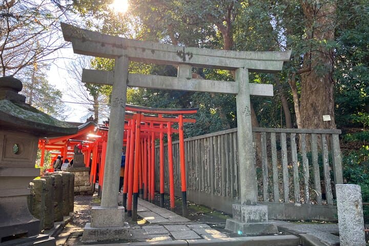 Tokyo Food Adventure: Street food, Teppanyaki cuisine, shrine etc — photo 20