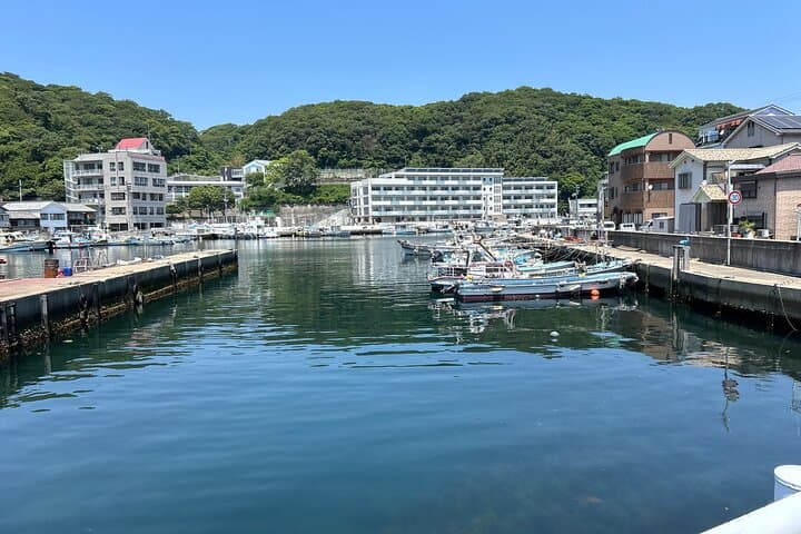 Private Cruise to Ieshima Island with Lunch Included — photo 6