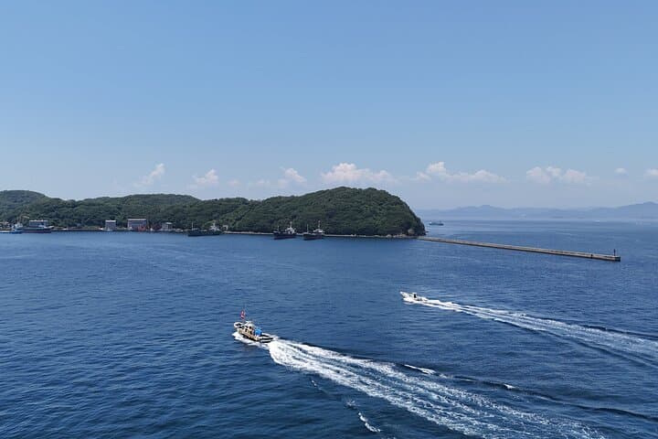 Private Cruise to Ieshima Island with Lunch Included — photo 7