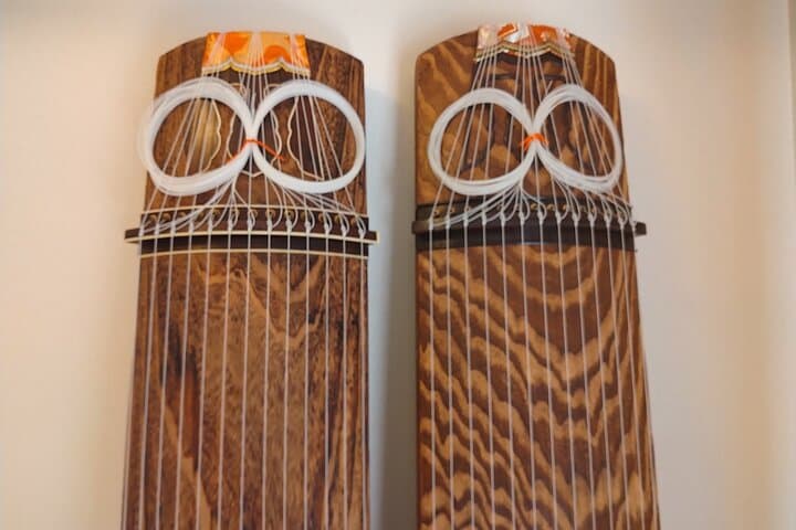 Authentic Koto Experience in Odawara Castle Town (Near Tokyo) — photo 11