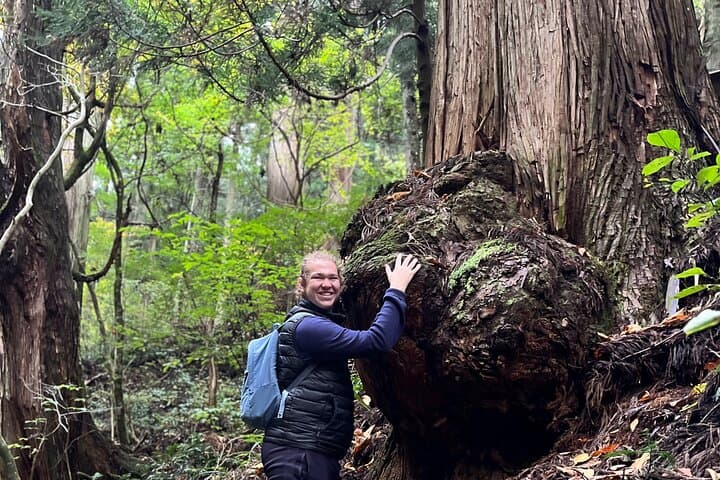 Life to Knife Immerse into the Soul of Rustic Japan — photo 11