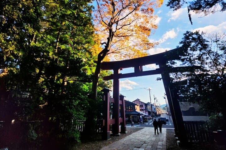 Yahiko Petit E-TUKTUK Tour: Flexible Courses to Enjoy Yahiko — photo 6