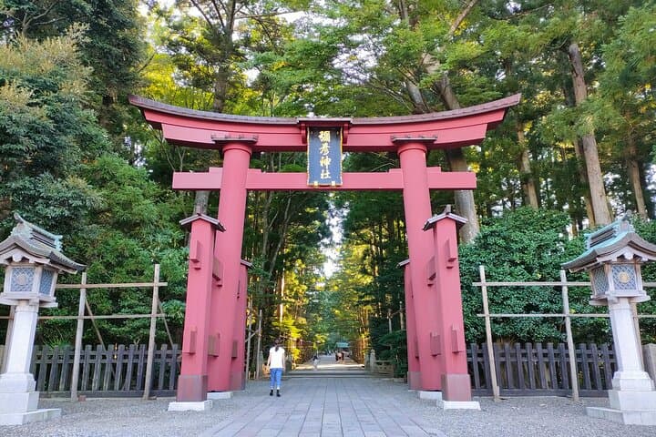 Yahiko Petit E-TUKTUK Tour: Flexible Courses to Enjoy Yahiko — photo 11