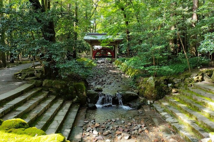 Yahiko Petit E-TUKTUK Tour: Flexible Courses to Enjoy Yahiko — photo 12