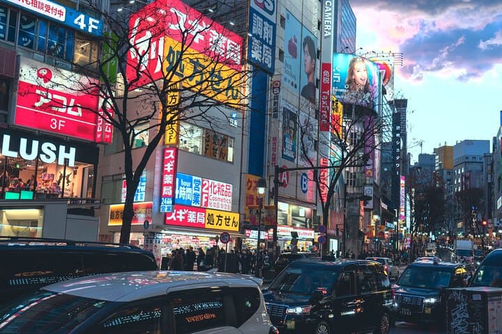 Capture Tokyo: A Guided Photography Tour — photo 1