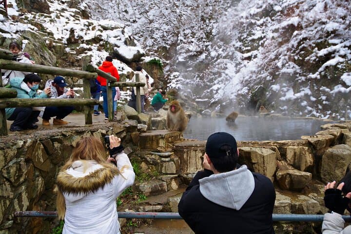 Snow Monkeys, Hokusai & Sake: A Perfect Day in Nagano — photo 15