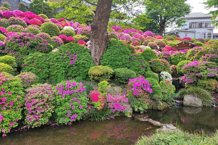 Private Tour of the Secret Corners of Tokyo — photo 2