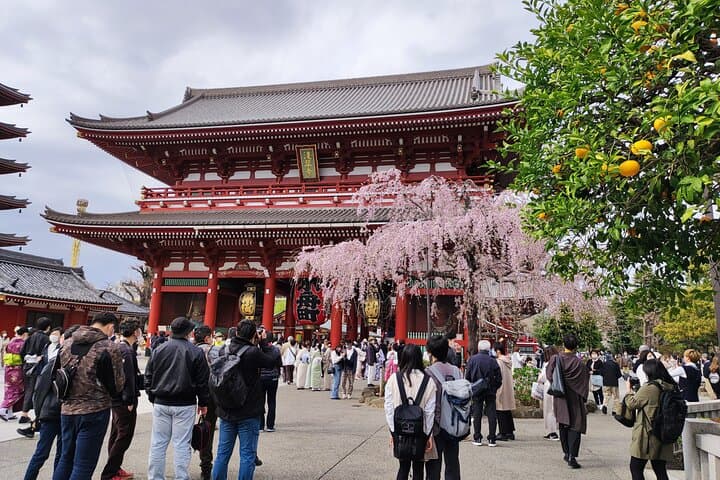 Private Tour of the Secret Corners of Tokyo — photo 3