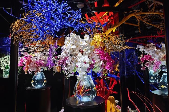 Private Tour of the Secret Corners of Tokyo — photo 6