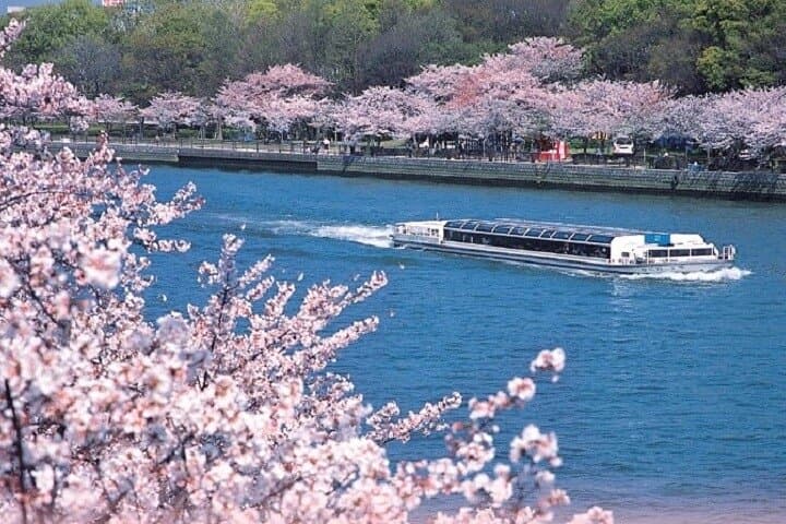 Osaka Afternoon Walking Tour with Osaka River Cruise — photo 3