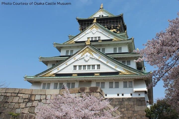 Osaka 1 Day Walking Tour with River Cruise from Osaka or Kyoto — photo 2