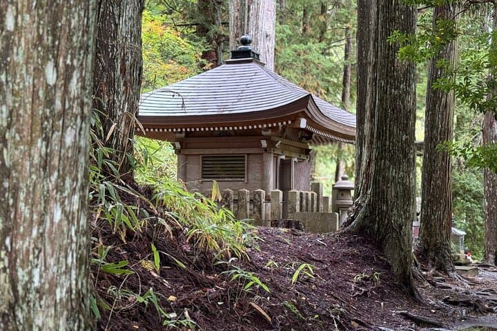 Koyasan: Must-See Okuno-in Cemetery 2-Hour Guided Tour — photo 13