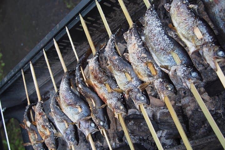 Catch and Dine A Gourmet Fishing Experience in Miyagi — photo 3