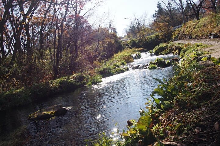 Catch and Dine A Gourmet Fishing Experience in Miyagi — photo 6
